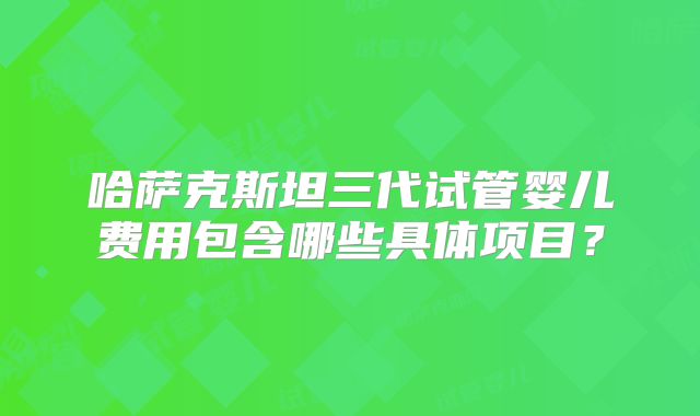 哈萨克斯坦三代试管婴儿费用包含哪些具体项目?