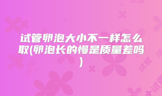 试管卵泡大小不一样怎么取(卵泡长的慢是质量差吗)
