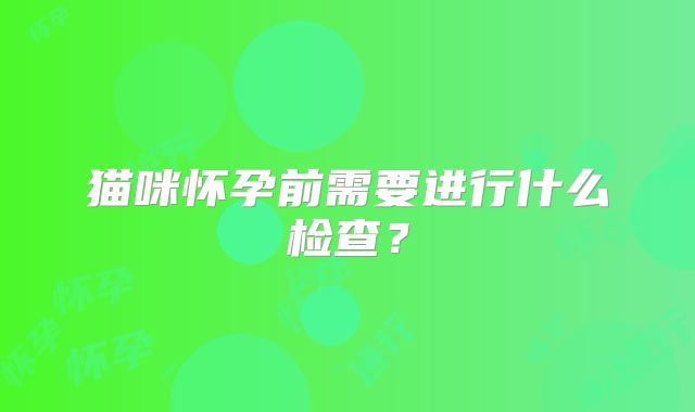 猫咪怀孕前需要进行什么检查？