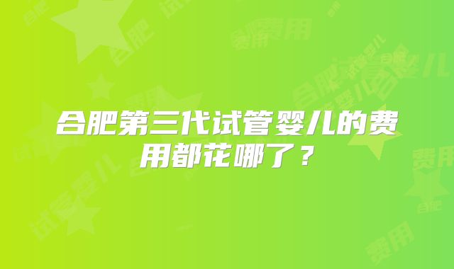 合肥第三代试管婴儿的费用都花哪了？
