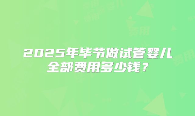 2025年毕节做试管婴儿全部费用多少钱？