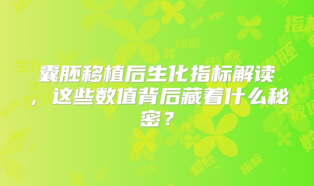 囊胚移植后生化指标解读,这些数值背后藏着什么秘密?