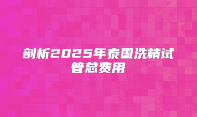 剖析2025年泰国洗精试管总费用