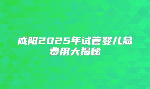 咸阳2025年试管婴儿总费用大揭秘