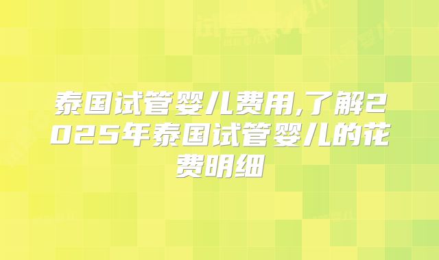 泰国试管婴儿费用,了解2025年泰国试管婴儿的花费明细