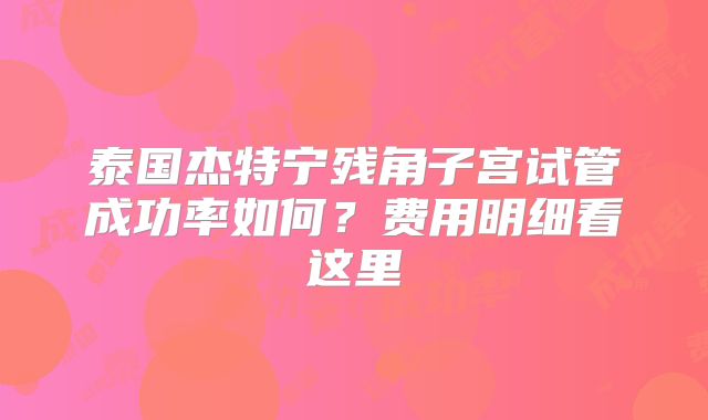 泰国杰特宁残角子宫试管成功率如何？费用明细看这里