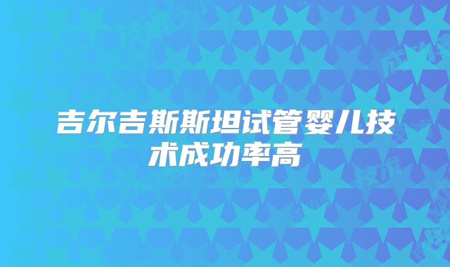 吉尔吉斯斯坦试管婴儿技术成功率高
