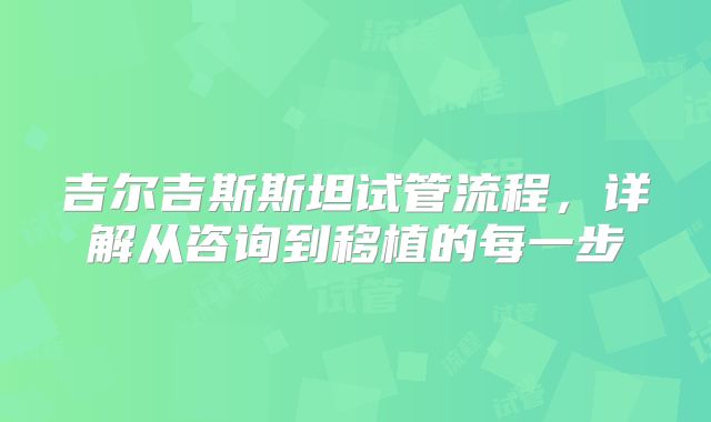 吉尔吉斯斯坦试管流程，详解从咨询到移植的每一步