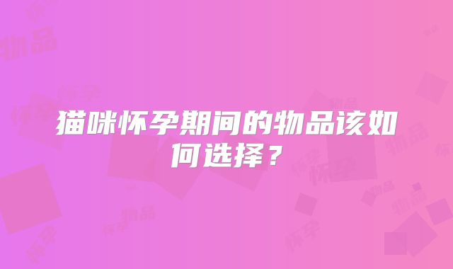 猫咪怀孕期间的物品该如何选择?