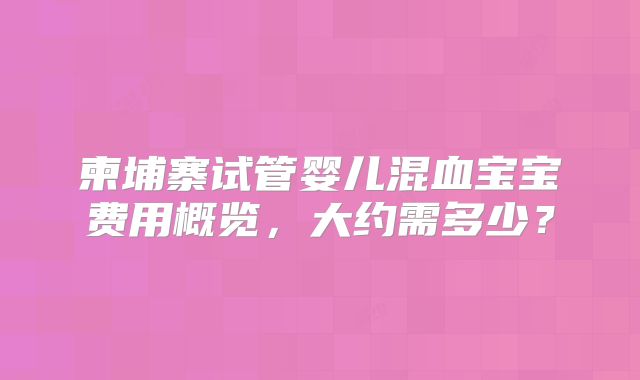 柬埔寨试管婴儿混血宝宝费用概览，大约需多少？