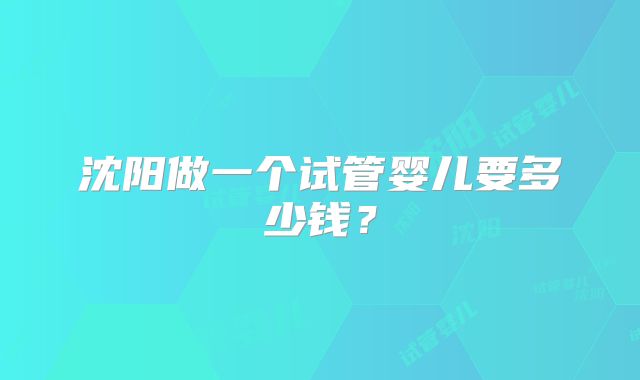 沈阳做一个试管婴儿要多少钱？