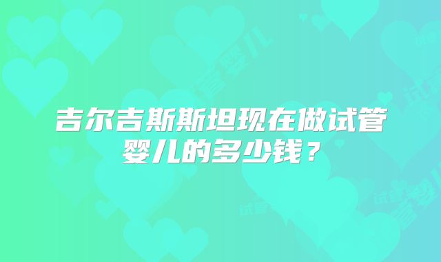 吉尔吉斯斯坦现在做试管婴儿的多少钱？