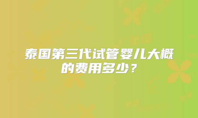 泰国第三代试管婴儿大概的费用多少？
