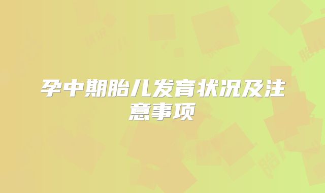 孕中期胎儿发育状况及注意事项