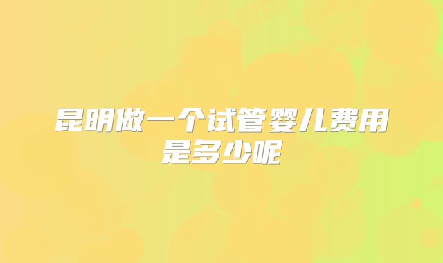 昆明做一个试管婴儿费用是多少呢