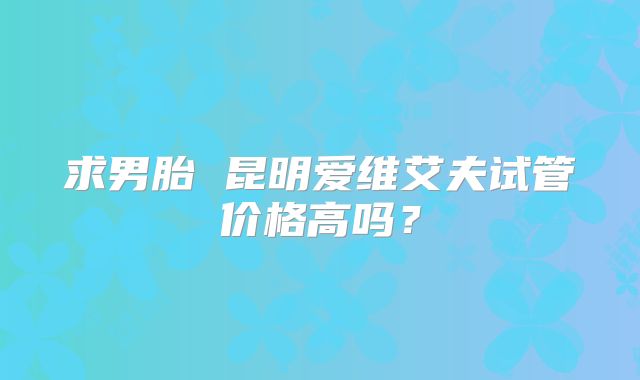 求男胎 昆明爱维艾夫试管价格高吗？