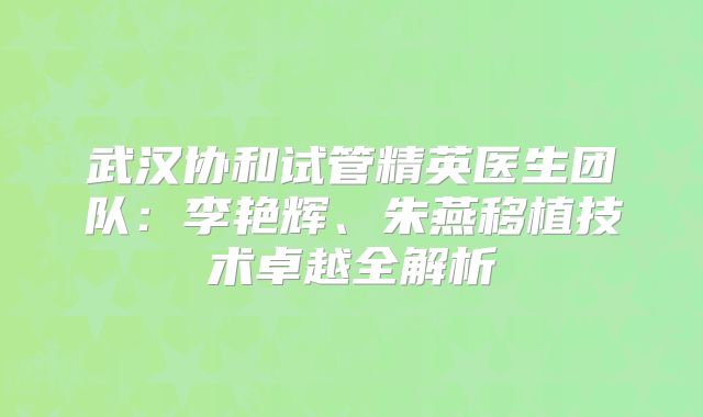 武汉协和试管精英医生团队:李艳辉、朱燕移植技术卓越全解析