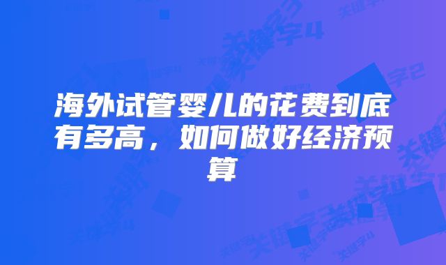 海外试管婴儿的花费到底有多高，如何做好经济预算