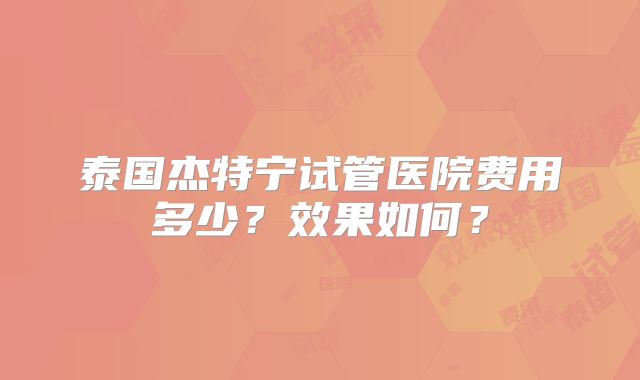 泰国杰特宁试管医院费用多少？效果如何？