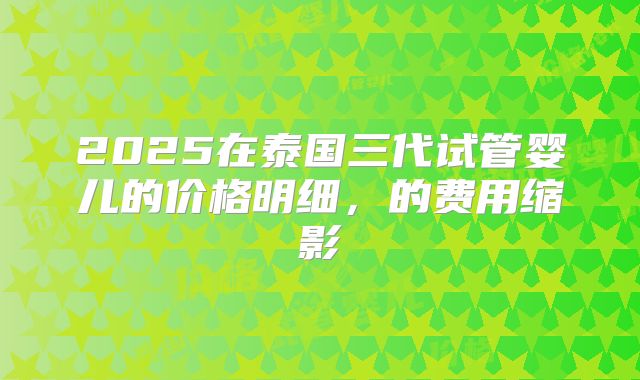 2025在泰国三代试管婴儿的价格明细，的费用缩影