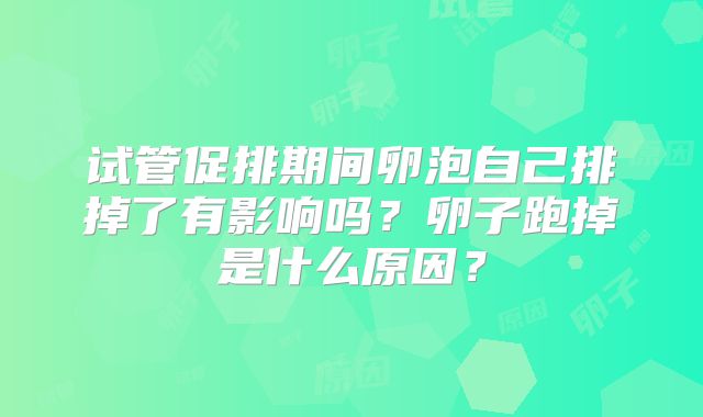 试管促排期间卵泡自己排掉了有影响吗？卵子跑掉是什么原因？