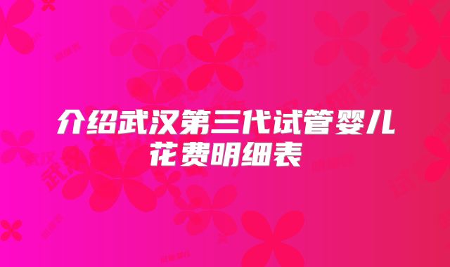 介绍武汉第三代试管婴儿花费明细表