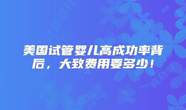 美国试管婴儿高成功率背后，大致费用要多少！