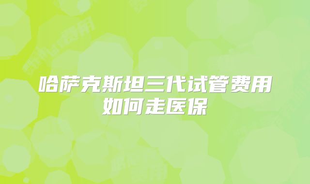 哈萨克斯坦三代试管费用如何走医保