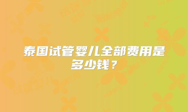 泰国试管婴儿全部费用是多少钱？