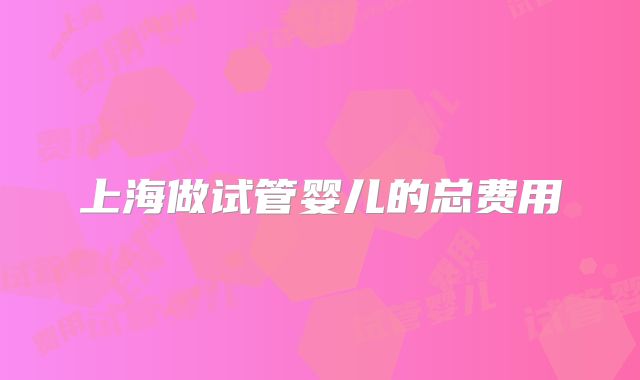 上海做试管婴儿的总费用