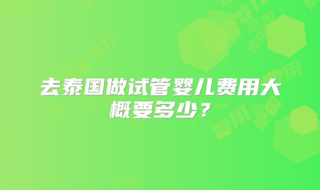 去泰国做试管婴儿费用大概要多少？