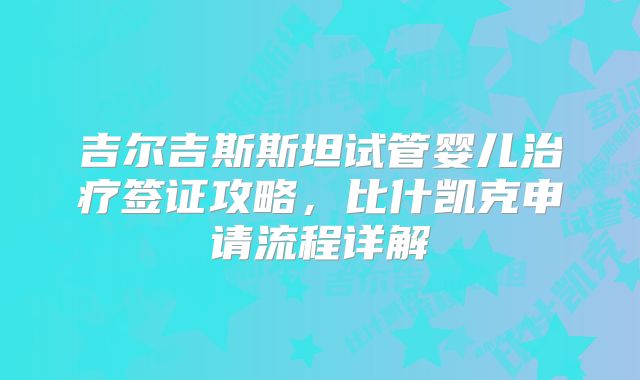吉尔吉斯斯坦试管婴儿治疗签证攻略，比什凯克申请流程详解
