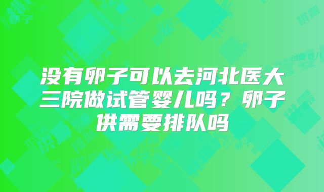 没有卵子可以去河北医大三院做试管婴儿吗？卵子供需要排队吗