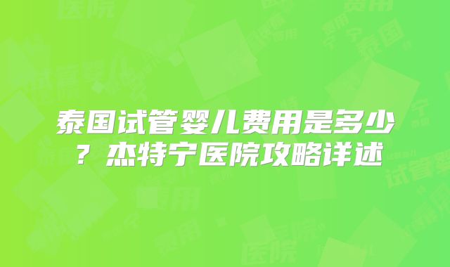 泰国试管婴儿费用是多少？杰特宁医院攻略详述