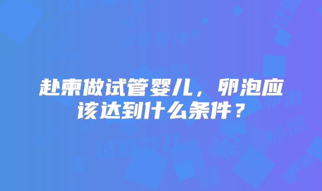 赴柬做试管婴儿，卵泡应该达到什么条件？