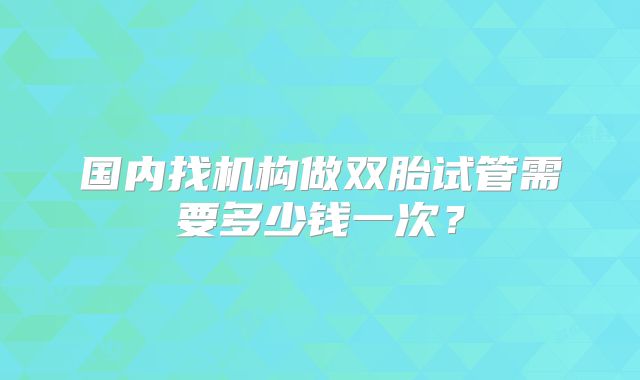 国内找机构做双胎试管需要多少钱一次？