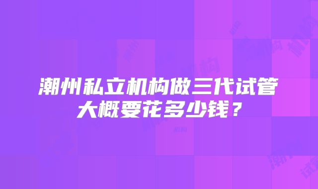 潮州私立机构做三代试管大概要花多少钱？