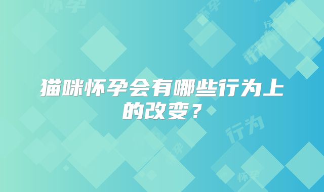 猫咪怀孕会有哪些行为上的改变？