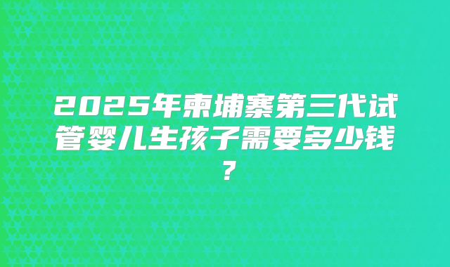 2025年柬埔寨第三代试管婴儿生孩子需要多少钱?