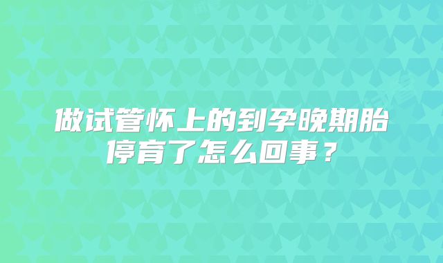 做试管怀上的到孕晚期胎停育了怎么回事?