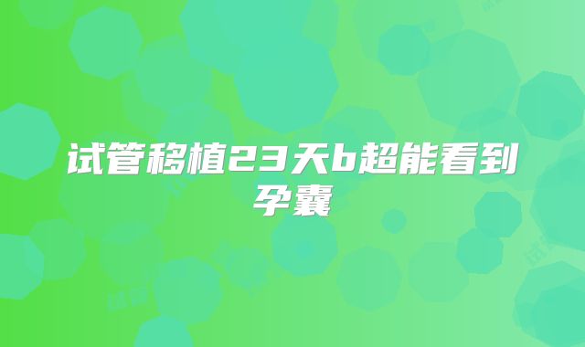 试管移植23天b超能看到孕囊