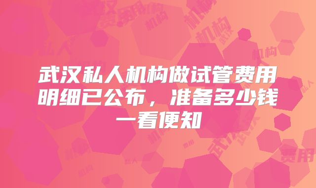 武汉私人机构做试管费用明细已公布，准备多少钱一看便知