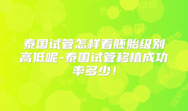 泰国试管怎样看胚胎级别高低呢-泰国试管移植成功率多少！