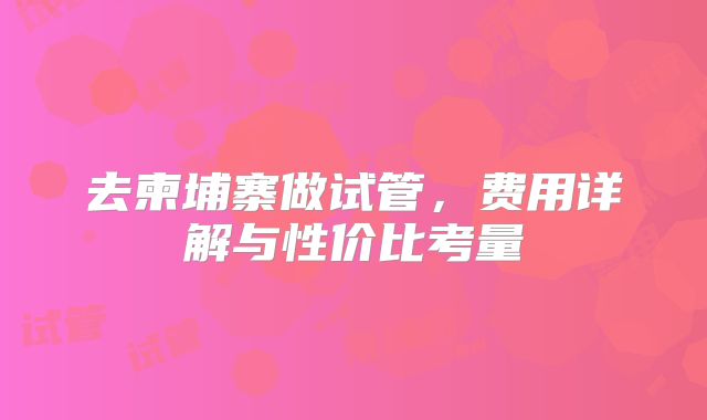 去柬埔寨做试管，费用详解与性价比考量