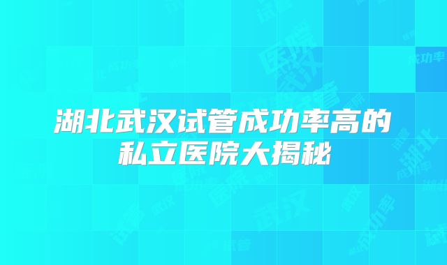 湖北武汉试管成功率高的私立医院大揭秘
