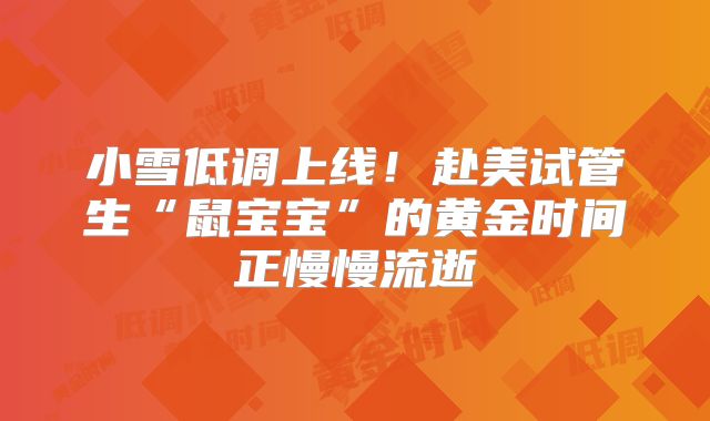小雪低调上线！赴美试管生“鼠宝宝”的黄金时间正慢慢流逝