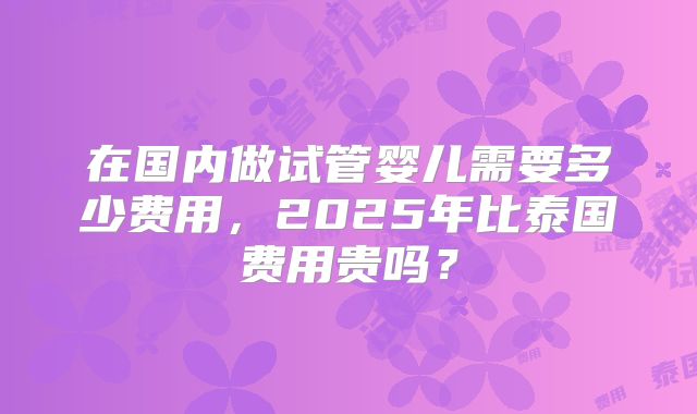 在国内做试管婴儿需要多少费用，2025年比泰国费用贵吗？