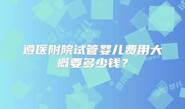 遵医附院试管婴儿费用大概要多少钱?