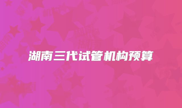 湖南三代试管机构预算