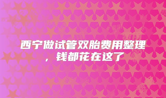 西宁做试管双胎费用整理,钱都花在这了